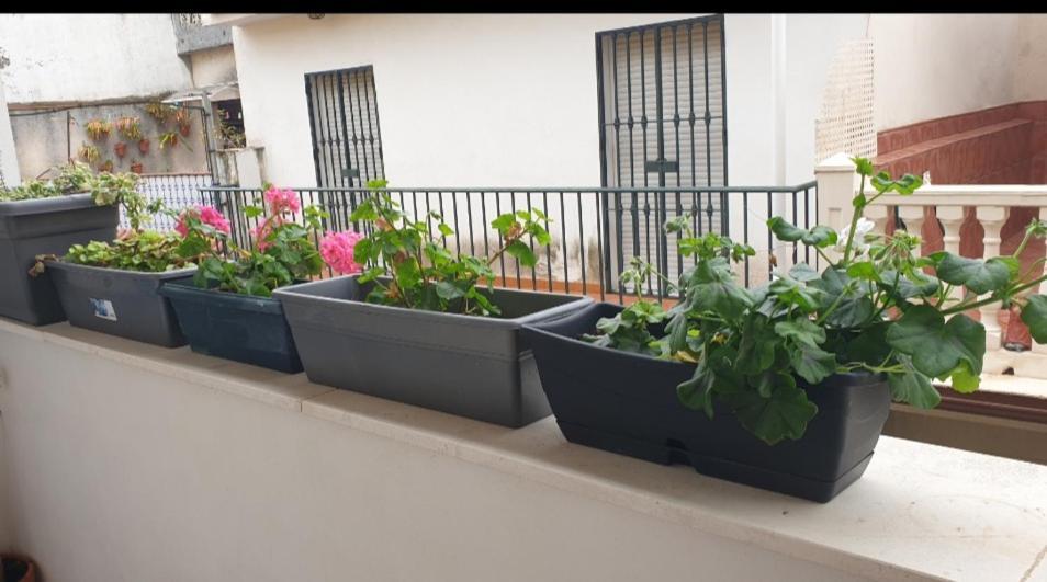 Apartamento Brianna Jerez de la Frontera Zewnętrze zdjęcie